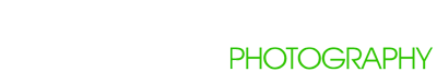Shannon McGuire Logo